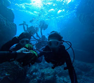 青の洞窟専門店　沖縄ダイビングショップ和に投稿された画像（2025/3/1）