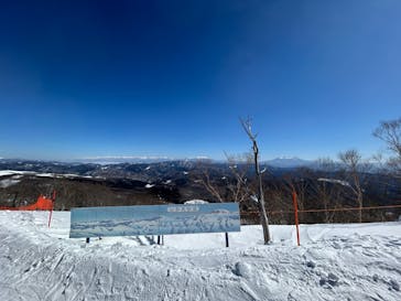 めいほうスキー場に投稿された画像（2025/3/1）