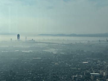 ハルカス300(展望台)に投稿された画像（2025/3/1）