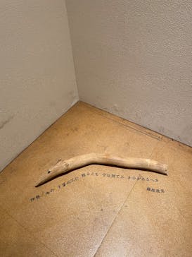 国立科学博物館に投稿された画像（2025/3/1）