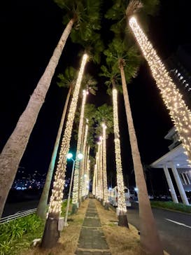 オーシャンスパ Fuuaに投稿された画像（2025/3/1）