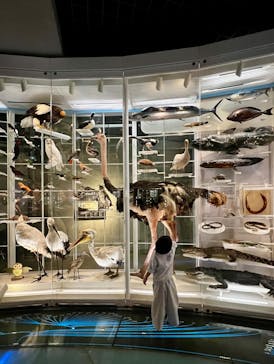 国立科学博物館に投稿された画像（2025/3/1）