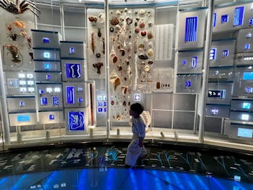 国立科学博物館に投稿された画像（2025/3/1）