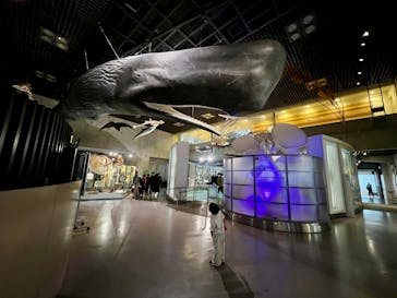 国立科学博物館に投稿された画像（2025/3/1）