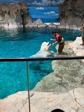 名古屋港水族館に投稿された画像（2025/3/1）