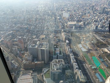 ハルカス300(展望台)に投稿された画像（2025/3/1）