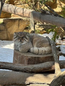 那須どうぶつ王国に投稿された画像（2025/3/1）