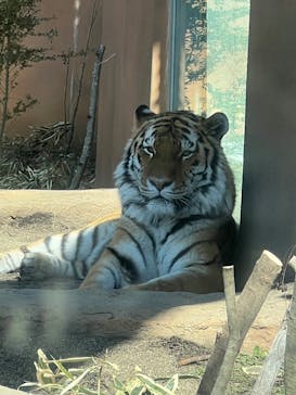 那須どうぶつ王国に投稿された画像（2025/3/1）