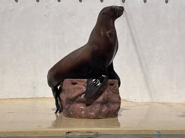 伊豆・三津シーパラダイスに投稿された画像（2025/3/1）