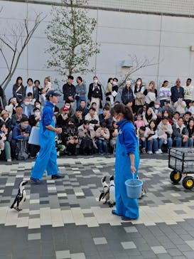 マリンワールド海の中道に投稿された画像（2025/3/1）