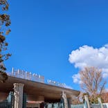 恩賜上野動物園に投稿された画像（2025/3/1）