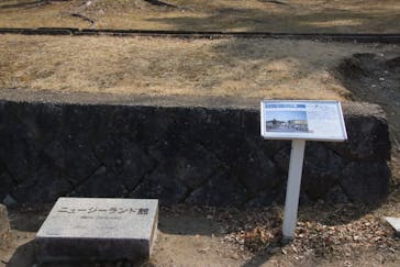 万博記念公園に投稿された画像（2025/3/1）