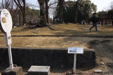 万博記念公園に投稿された画像（2025/3/1）