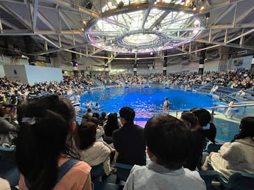 マクセル アクアパーク品川に投稿された画像（2025/3/1）