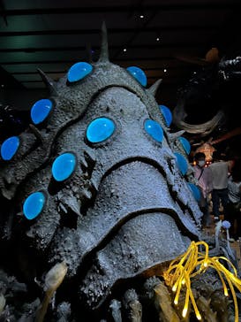 金曜ロードショーとジブリ展　三重展に投稿された画像（2025/3/1）