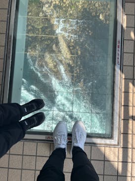 徳島県立 渦の道に投稿された画像（2025/3/1）