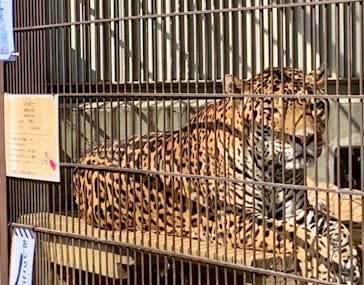 名古屋市東山動植物園に投稿された画像（2025/3/1）