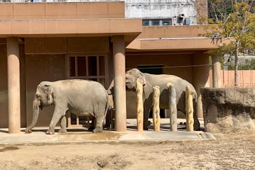 名古屋市東山動植物園に投稿された画像（2025/3/1）