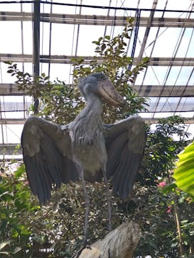 神戸どうぶつ王国に投稿された画像（2025/3/1）