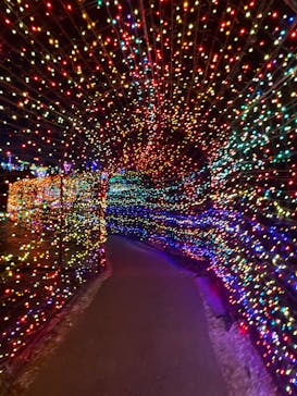 伊豆高原グランイルミに投稿された画像（2025/3/1）