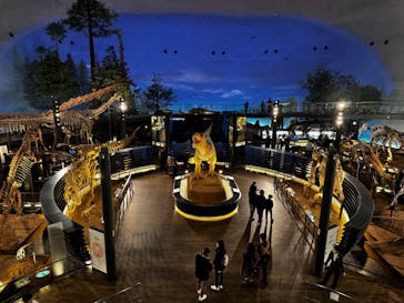 福井県立恐竜博物館に投稿された画像（2025/3/1）