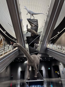福井県立恐竜博物館に投稿された画像（2025/3/1）