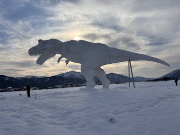 福井県立恐竜博物館に投稿された画像（2025/3/1）