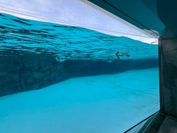 葛西臨海水族園に投稿された画像（2025/3/1）