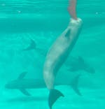 マリンワールド海の中道に投稿された画像（2025/3/1）