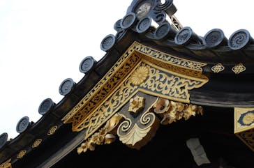 元離宮二条城に投稿された画像（2025/3/1）