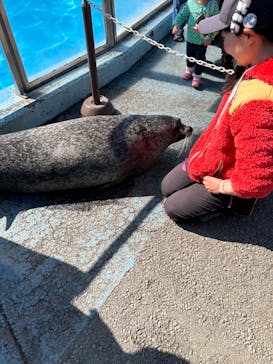 東武動物公園に投稿された画像（2025/3/1）