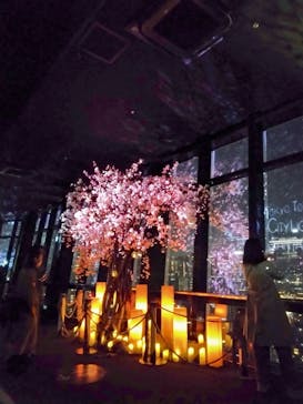 東京タワーに投稿された画像（2025/3/1）