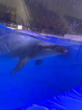 マリンワールド海の中道に投稿された画像（2025/3/1）