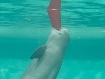 マリンワールド海の中道に投稿された画像（2025/3/1）