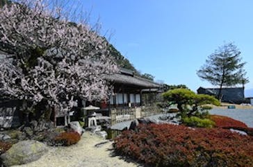 仙巌園に投稿された画像（2025/3/1）