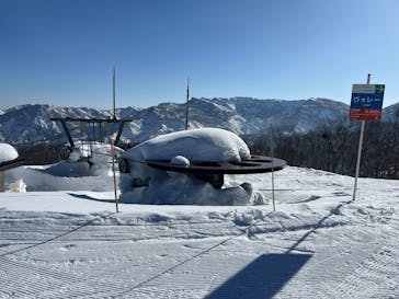 シャルマン火打スキー場に投稿された画像（2025/3/1）