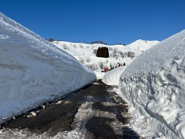 シャルマン火打スキー場に投稿された画像（2025/3/1）