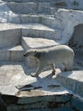 天王寺動物園に投稿された画像（2025/3/2）
