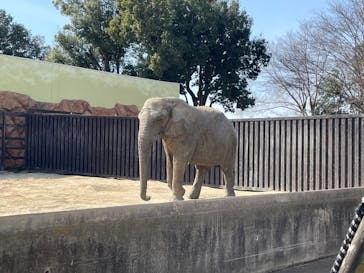 東武動物公園に投稿された画像（2025/3/1）