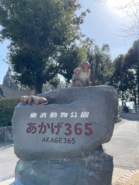 東武動物公園に投稿された画像（2025/3/1）