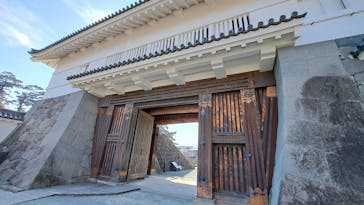 小田原城に投稿された画像（2025/3/1）