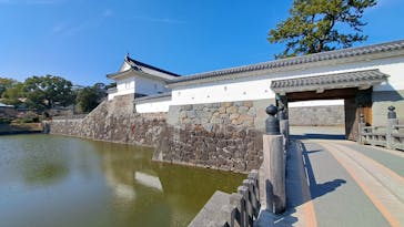 小田原城に投稿された画像（2025/3/1）