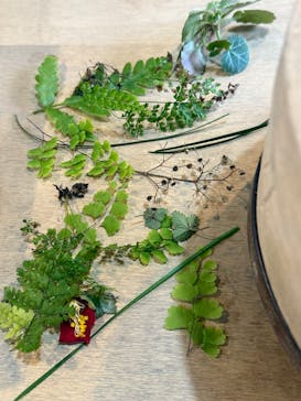 たからの窯に投稿された画像（2025/3/1）