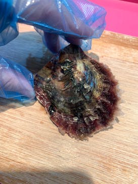 菊池パールに投稿された画像（2025/3/1）