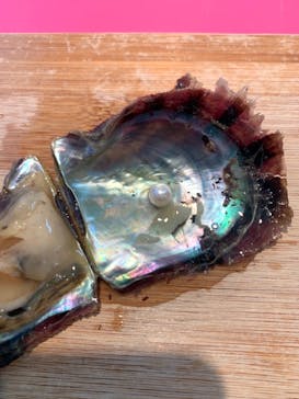 菊池パールに投稿された画像（2025/3/1）