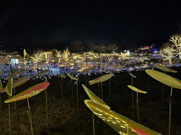 いばらきフラワーパークに投稿された画像（2025/3/1）