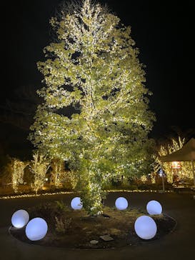 いばらきフラワーパークに投稿された画像（2025/3/1）