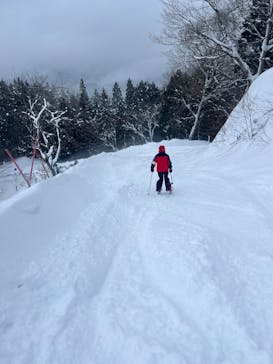 めいほうスキー場に投稿された画像（2025/3/2）