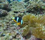 武藤潜水に投稿された画像（2025/3/2）