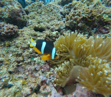 武藤潜水に投稿された画像（2025/3/2）